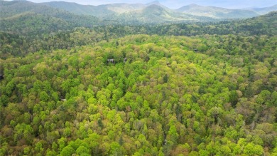 Nestled in the tranquil setting of Holly Forest IV, this on Sapphire National Golf Club in North Carolina - for sale on GolfHomes.com, golf home, golf lot