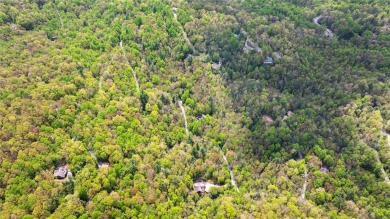 Nestled in the tranquil setting of Holly Forest IV, this on Sapphire National Golf Club in North Carolina - for sale on GolfHomes.com, golf home, golf lot