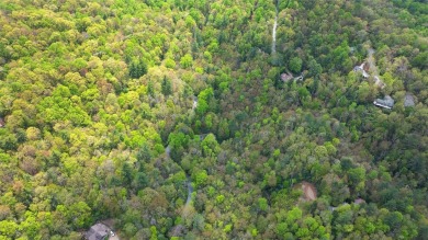 Nestled in the tranquil setting of Holly Forest IV, this on Sapphire National Golf Club in North Carolina - for sale on GolfHomes.com, golf home, golf lot