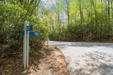Nestled in the tranquil setting of Holly Forest IV, this on Sapphire National Golf Club in North Carolina - for sale on GolfHomes.com, golf home, golf lot
