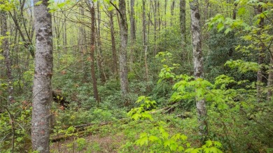 Nestled in the tranquil setting of Holly Forest IV, this on Sapphire National Golf Club in North Carolina - for sale on GolfHomes.com, golf home, golf lot