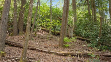 Nestled in the tranquil setting of Holly Forest IV, this on Sapphire National Golf Club in North Carolina - for sale on GolfHomes.com, golf home, golf lot
