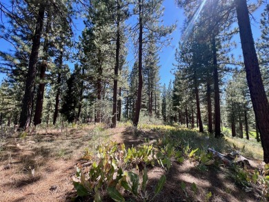 THIS GRIZZLY RANCH HOMESITE IS NOTHING SHORT OF A DREAM COME on Grizzly Ranch Golf Club in California - for sale on GolfHomes.com, golf home, golf lot