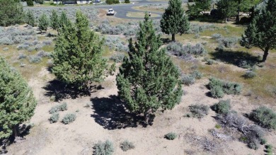 SPECTACULAR VIEWS OF MT. SHASTA AND GOLF COURSE - Discover this on Lake Shastina Golf Course in California - for sale on GolfHomes.com, golf home, golf lot