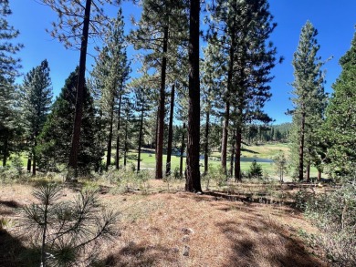 THIS GRIZZLY RANCH HOMESITE IS NOTHING SHORT OF A DREAM COME on Grizzly Ranch Golf Club in California - for sale on GolfHomes.com, golf home, golf lot