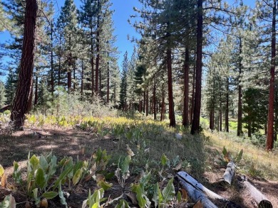 THIS GRIZZLY RANCH HOMESITE IS NOTHING SHORT OF A DREAM COME on Grizzly Ranch Golf Club in California - for sale on GolfHomes.com, golf home, golf lot