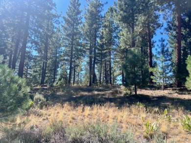 THIS GRIZZLY RANCH HOMESITE IS NOTHING SHORT OF A DREAM COME on Grizzly Ranch Golf Club in California - for sale on GolfHomes.com, golf home, golf lot