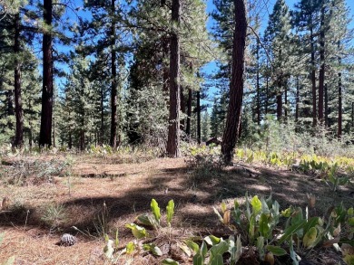 THIS GRIZZLY RANCH HOMESITE IS NOTHING SHORT OF A DREAM COME on Grizzly Ranch Golf Club in California - for sale on GolfHomes.com, golf home, golf lot