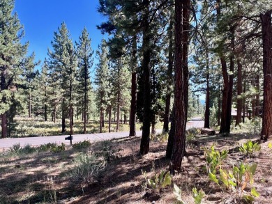 THIS GRIZZLY RANCH HOMESITE IS NOTHING SHORT OF A DREAM COME on Grizzly Ranch Golf Club in California - for sale on GolfHomes.com, golf home, golf lot