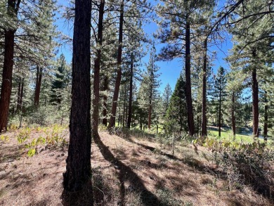 THIS GRIZZLY RANCH HOMESITE IS NOTHING SHORT OF A DREAM COME on Grizzly Ranch Golf Club in California - for sale on GolfHomes.com, golf home, golf lot