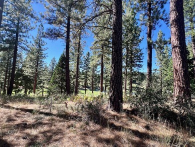 THIS GRIZZLY RANCH HOMESITE IS NOTHING SHORT OF A DREAM COME on Grizzly Ranch Golf Club in California - for sale on GolfHomes.com, golf home, golf lot