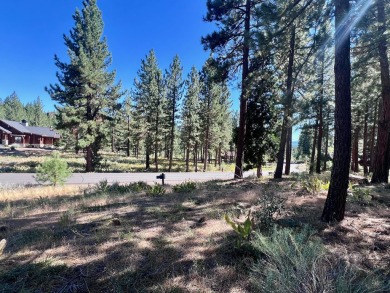 THIS GRIZZLY RANCH HOMESITE IS NOTHING SHORT OF A DREAM COME on Grizzly Ranch Golf Club in California - for sale on GolfHomes.com, golf home, golf lot