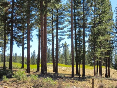 THIS GRIZZLY RANCH HOMESITE IS NOTHING SHORT OF A DREAM COME on Grizzly Ranch Golf Club in California - for sale on GolfHomes.com, golf home, golf lot