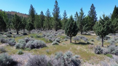 SPECTACULAR VIEWS OF MT. SHASTA AND GOLF COURSE - Discover this on Lake Shastina Golf Course in California - for sale on GolfHomes.com, golf home, golf lot