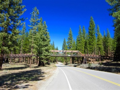 THIS GRIZZLY RANCH HOMESITE IS NOTHING SHORT OF A DREAM COME on Grizzly Ranch Golf Club in California - for sale on GolfHomes.com, golf home, golf lot