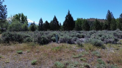 SPECTACULAR VIEWS OF MT. SHASTA AND GOLF COURSE - Discover this on Lake Shastina Golf Course in California - for sale on GolfHomes.com, golf home, golf lot
