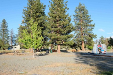 SPECTACULAR VIEWS OF MT. SHASTA AND GOLF COURSE - Discover this on Lake Shastina Golf Course in California - for sale on GolfHomes.com, golf home, golf lot