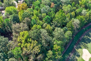 Rare find in Fort Mill! This vacant lot is the perfect canvas on Tega Cay Golf Club in South Carolina - for sale on GolfHomes.com, golf home, golf lot