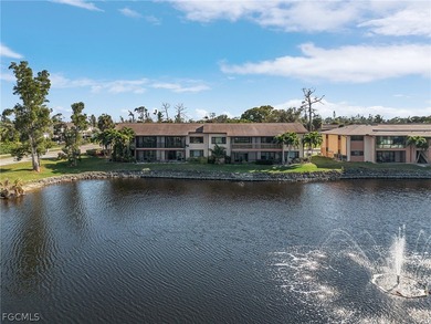 Serene Lakeside Condo in Royal Woods - Freshly Remodeled & on Terraverde Country Club in Florida - for sale on GolfHomes.com, golf home, golf lot