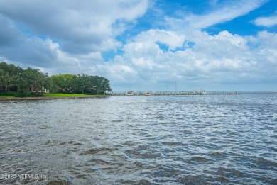 Awesome Venetia Riverfront! Walk or golf cart to Timuquana on Timuquana Country Club in Florida - for sale on GolfHomes.com, golf home, golf lot