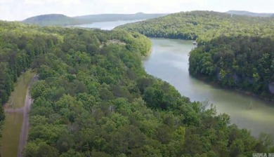 Great views can be achieved by clearing a path to the white line on Mountain Ranch Golf Club in Arkansas - for sale on GolfHomes.com, golf home, golf lot