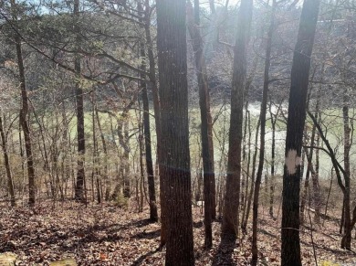 Great views can be achieved by clearing a path to the white line on Mountain Ranch Golf Club in Arkansas - for sale on GolfHomes.com, golf home, golf lot