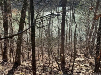 Great views can be achieved by clearing a path to the white line on Mountain Ranch Golf Club in Arkansas - for sale on GolfHomes.com, golf home, golf lot