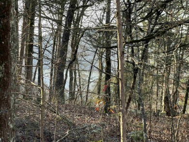 Great views can be achieved by clearing a path to the white line on Mountain Ranch Golf Club in Arkansas - for sale on GolfHomes.com, golf home, golf lot