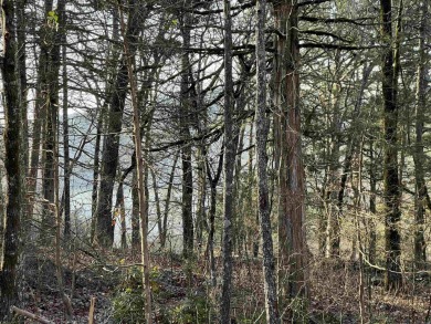 Great views can be achieved by clearing a path to the white line on Mountain Ranch Golf Club in Arkansas - for sale on GolfHomes.com, golf home, golf lot