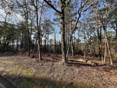 Great views can be achieved by clearing a path to the white line on Mountain Ranch Golf Club in Arkansas - for sale on GolfHomes.com, golf home, golf lot