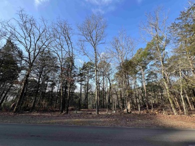 Great views can be achieved by clearing a path to the white line on Mountain Ranch Golf Club in Arkansas - for sale on GolfHomes.com, golf home, golf lot