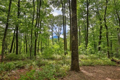 Discover the best of mountain living at 108 Uplands, an on High Hampton Inn and Country Club in North Carolina - for sale on GolfHomes.com, golf home, golf lot
