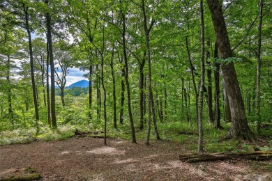 Discover the best of mountain living at 108 Uplands, an on High Hampton Inn and Country Club in North Carolina - for sale on GolfHomes.com, golf home, golf lot
