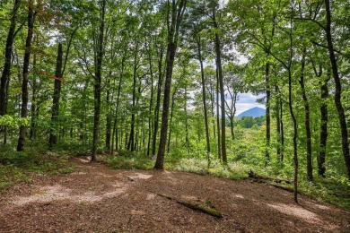 Discover the best of mountain living at 108 Uplands, an on High Hampton Inn and Country Club in North Carolina - for sale on GolfHomes.com, golf home, golf lot