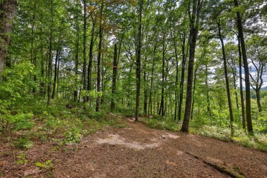 Discover the best of mountain living at 108 Uplands, an on High Hampton Inn and Country Club in North Carolina - for sale on GolfHomes.com, golf home, golf lot