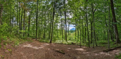 Discover the best of mountain living at 108 Uplands, an on High Hampton Inn and Country Club in North Carolina - for sale on GolfHomes.com, golf home, golf lot