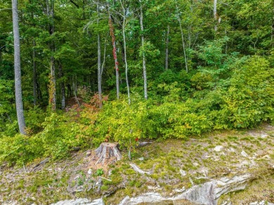 Discover the best of mountain living at 108 Uplands, an on High Hampton Inn and Country Club in North Carolina - for sale on GolfHomes.com, golf home, golf lot