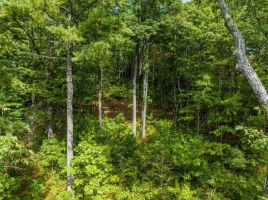 Discover the best of mountain living at 108 Uplands, an on High Hampton Inn and Country Club in North Carolina - for sale on GolfHomes.com, golf home, golf lot