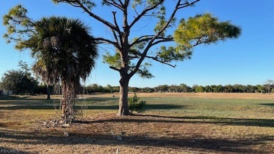 BEAUTIFUL LOT with Amazing View on the CORAL OAKES GOLF COURSE on Burnt Store Golf Club in Florida - for sale on GolfHomes.com, golf home, golf lot