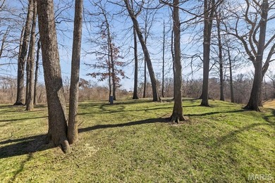 Beautiful and spacious villa situated on the Stonewolf Golf on Stonewolf Golf Club in Illinois - for sale on GolfHomes.com, golf home, golf lot