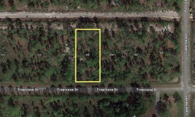 Come build your forever home on this one-half acre lot located on Indian Lake Estates Golf and Country Club in Florida - for sale on GolfHomes.com, golf home, golf lot
