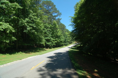 Heavily wooded 0.65 acre golf lot on #13 Fairway of Harbor SOLD on Harbor Club Golf and Country Club in Georgia - for sale on GolfHomes.com, golf home, golf lot