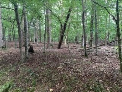 Did we say FLAT, LEVEL, and in Bent Tree. This type lot is hard on Bent Tree Golf Course in Georgia - for sale on GolfHomes.com, golf home, golf lot
