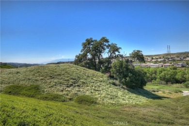Come see what sets this home apart. The great room includes a on Oak Valley Golf Club in California - for sale on GolfHomes.com, golf home, golf lot