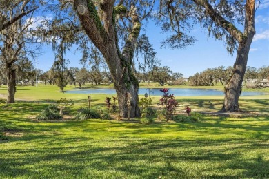 Luxury, Comfort, and Views--This Home Has It All! Perfectly on Silverado Golf and Country Club in Florida - for sale on GolfHomes.com, golf home, golf lot