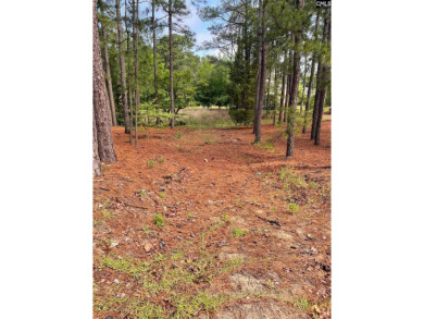 A GEM IN THE COVETED SPRING VALLEY! Two adjacent lots, 2233 and on Spring Valley Country Club in South Carolina - for sale on GolfHomes.com, golf home, golf lot