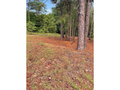 A GEM IN THE COVETED SPRING VALLEY! Two adjacent lots, 2233 and on Spring Valley Country Club in South Carolina - for sale on GolfHomes.com, golf home, golf lot