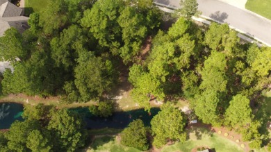 Build in The Enclave, the much sought after neighborhood within on The Reserve Club At Woodside Plantation in South Carolina - for sale on GolfHomes.com, golf home, golf lot