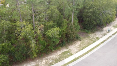 Build in The Enclave, the much sought after neighborhood within on The Reserve Club At Woodside Plantation in South Carolina - for sale on GolfHomes.com, golf home, golf lot