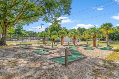 Discover your slice of paradise in this ideal lot in the popular on Tidewater Golf Club and Plantation in South Carolina - for sale on GolfHomes.com, golf home, golf lot